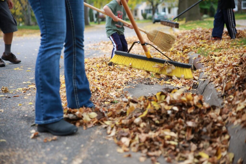 Lawn Care Services