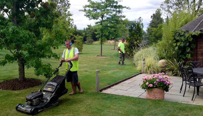 Lawn Care Services