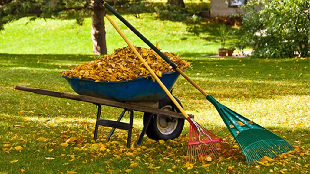 Lawn Care Services