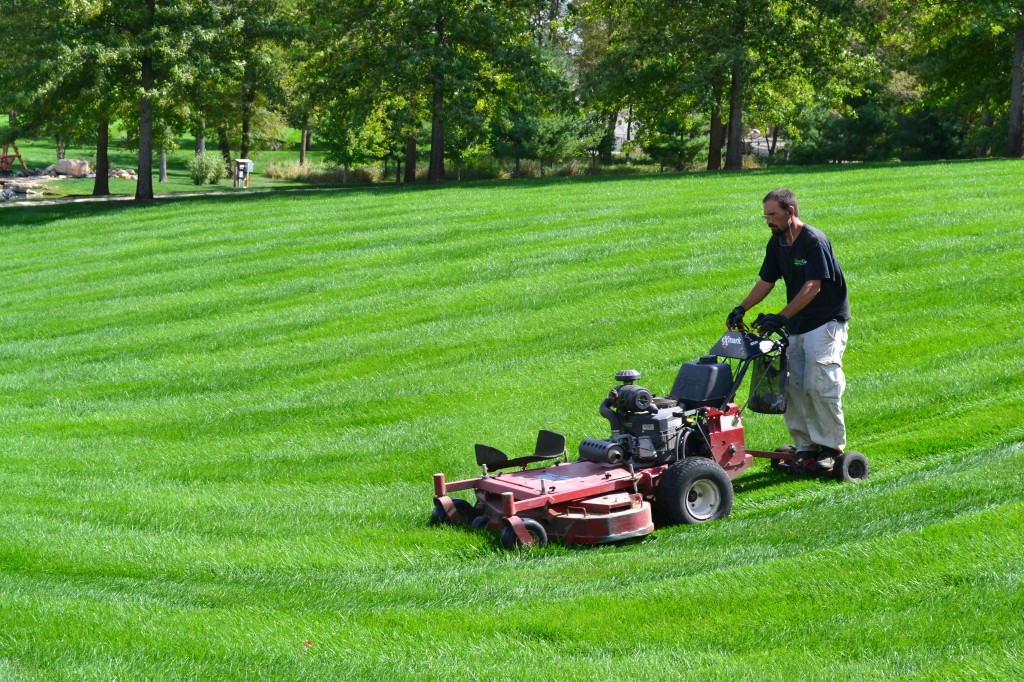 Lawn Care Services