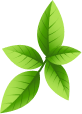 Lawn Care Services