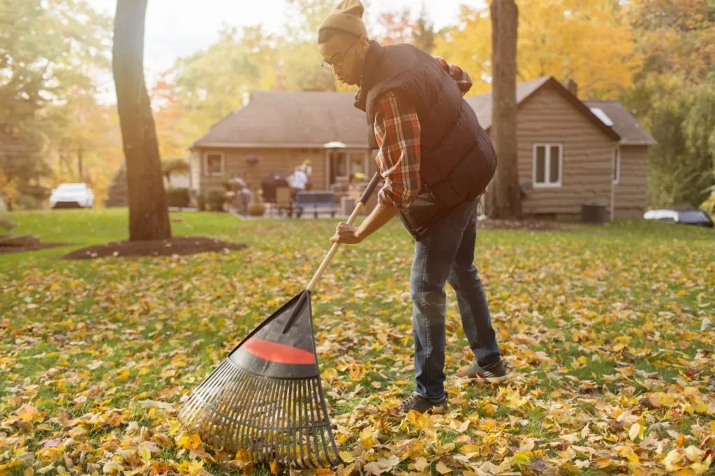 Lawn Care Services