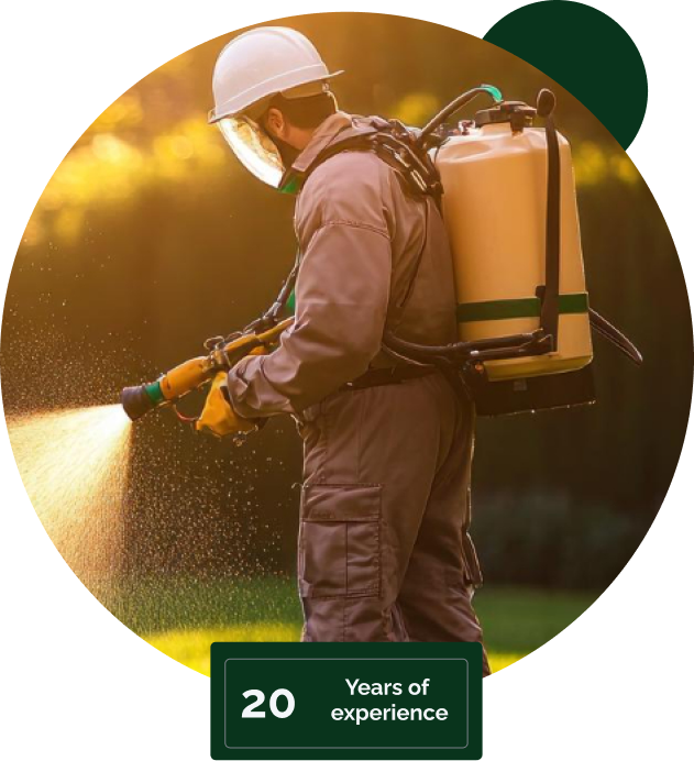 Lawn Care Services