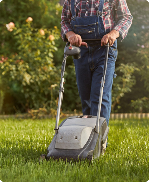Lawn Care Services