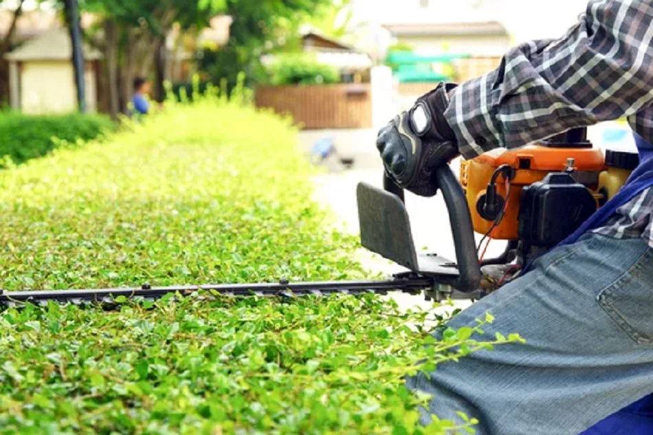 Lawn Care Services