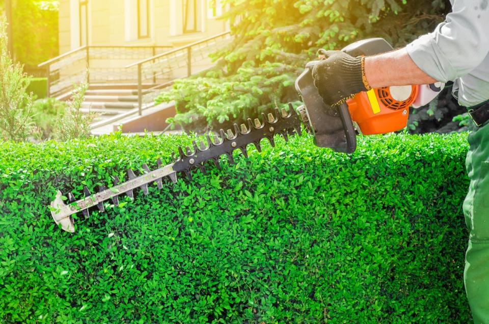 Lawn Care Services