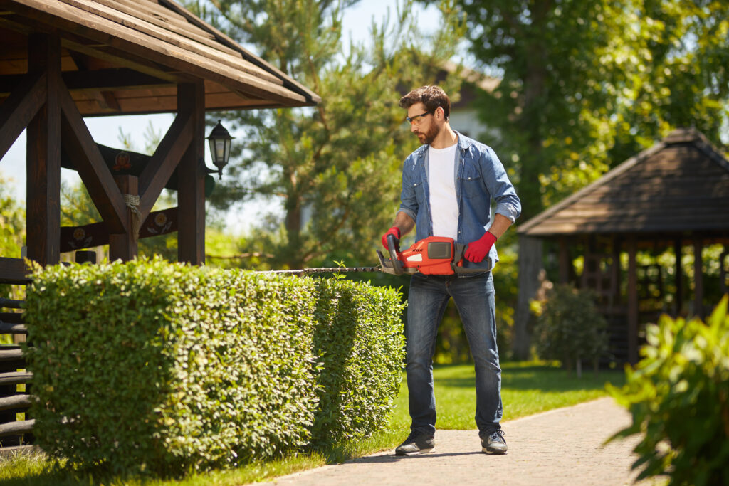 Lawn Care Services