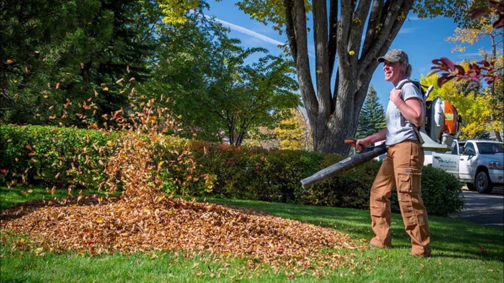 Lawn Care Services