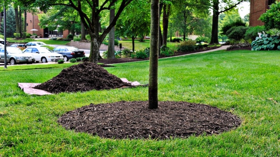 Lawn Care Services