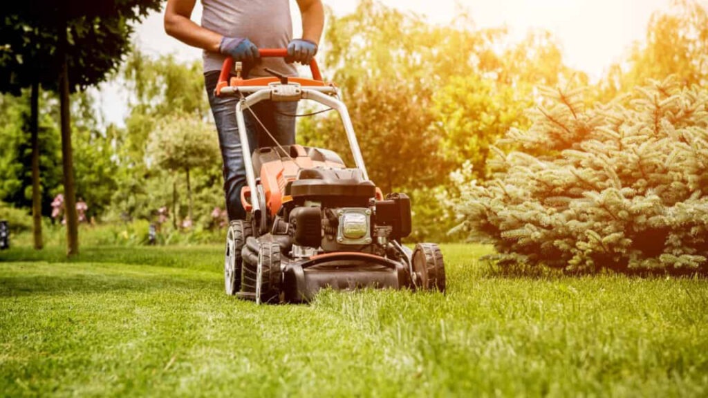 fall clean ups